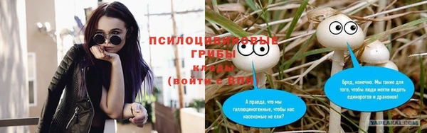 jwh Новокубанск