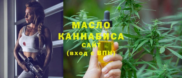 крисы Няндома